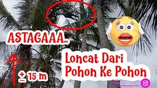 ATRAKSI MELOMPAT DI POHON KELAPA  KETINGGIAN 15 METER😌😌