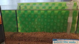 **UNDER GRAVEL FILTER HACK PT 2** #filter #filtration #aquarium #hack #bacteria #colony #biology