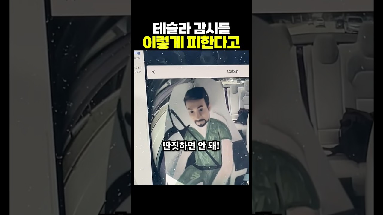 테슬라 감시를 이렇게 피한다고