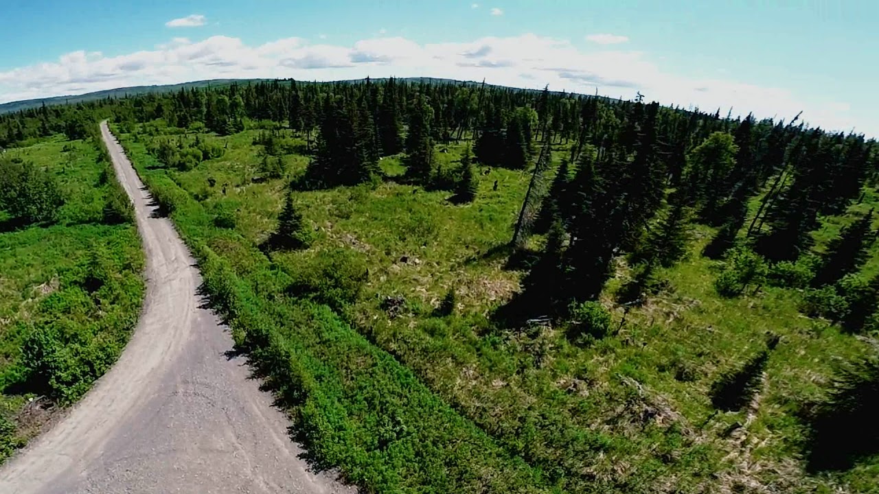 Alaskan Wildwood Ranch® - Bull Crossing & King Road - Alaskan Life Realty