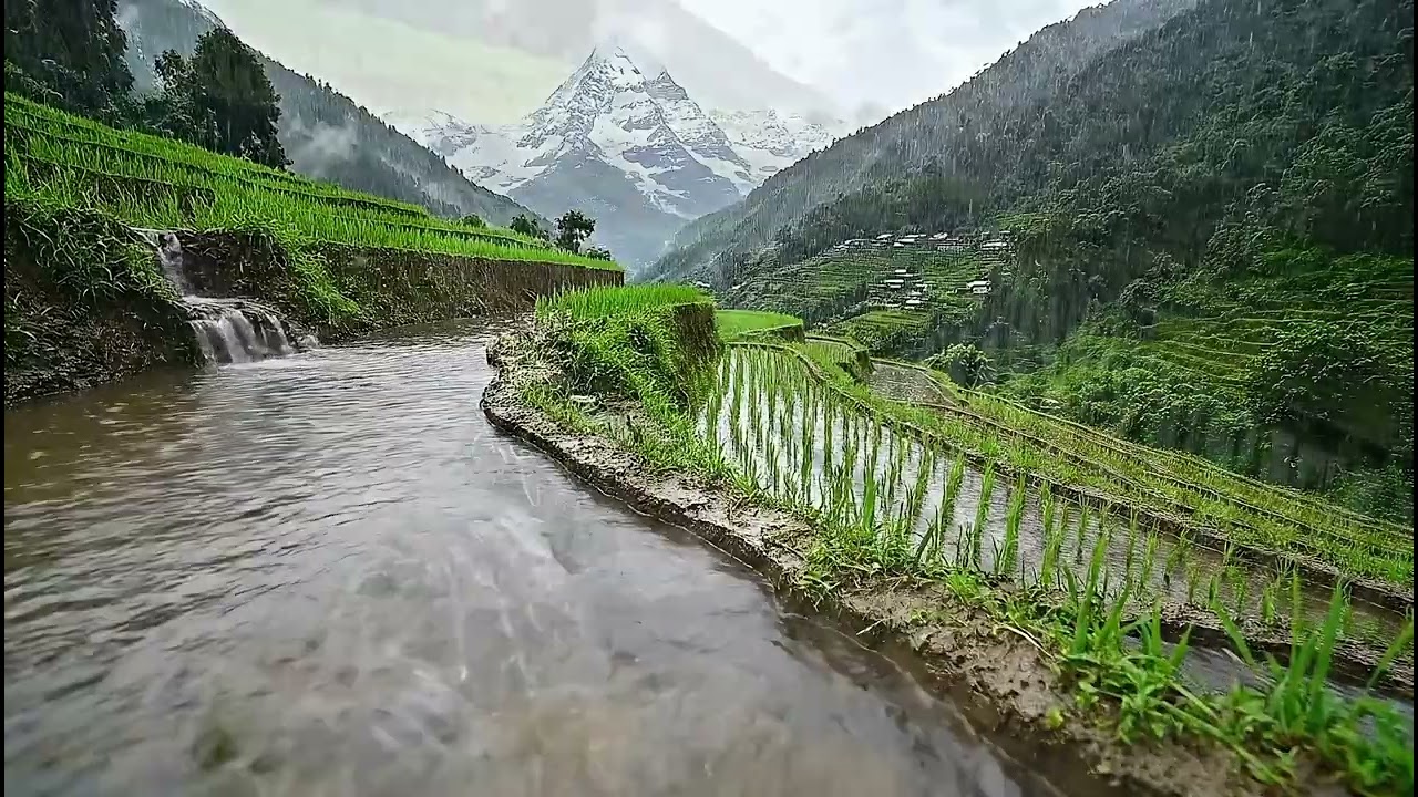 Drift into deep relaxation with this calming video  relax your body 