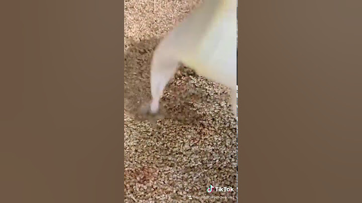 How to remove pet urine from carpet