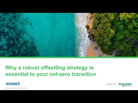 Why a robust offsetting strategy is essential to your net-zero transition