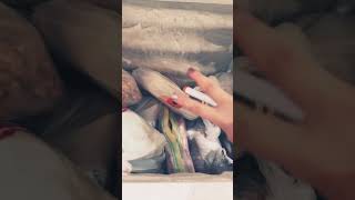 #slime #lifeisbutadream #preppy #diy