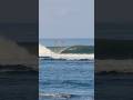 The PERFECT Wave: No Crowds, Pure Paradise!