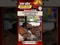 #shorts: CM YOGI ने गोरखनाथ मंदिर में गोवंश को खिलाया चारा |