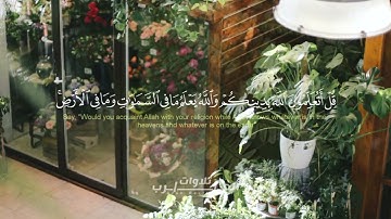 سورة الحجرات.القارئ محمد هشام