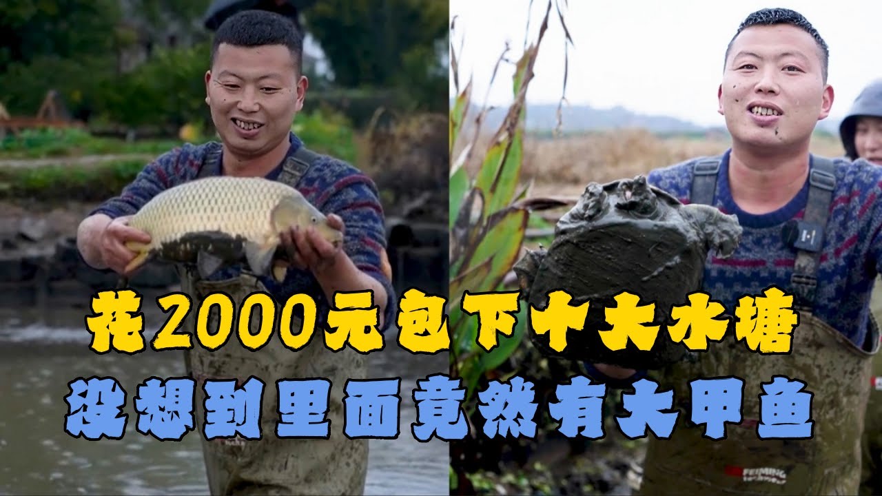 花2000元包下个大水塘，没想到里面竟然有大甲鱼 #户外抓鱼 #户外捕鱼 #小飞哥抓鱼 #乡村生活 #农村生活