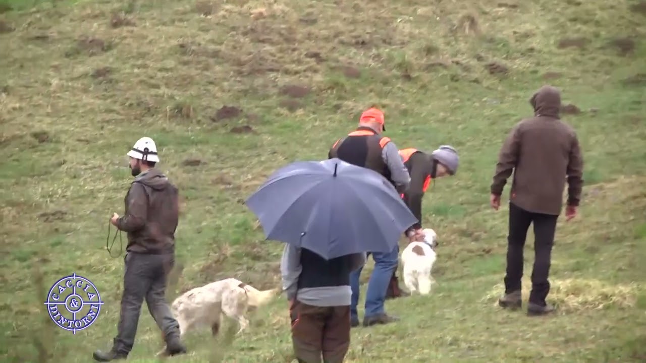 REGINA DEL BOSCO 2023