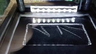 Radon-220 (Thoron) in a Diffusion Cloud Chamber
