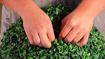 HOW TO: Assemble boxwood ball Geranium Street