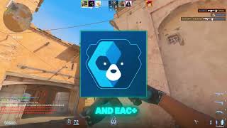 How to DOWNLOAD Strafe's Universal AI Aimbot (Fotnite,Valorant,Cod,Rust AI AIMBOT)