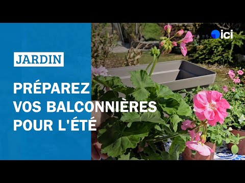 Prepare your balcony planters for summer: Tips from Roland Motte