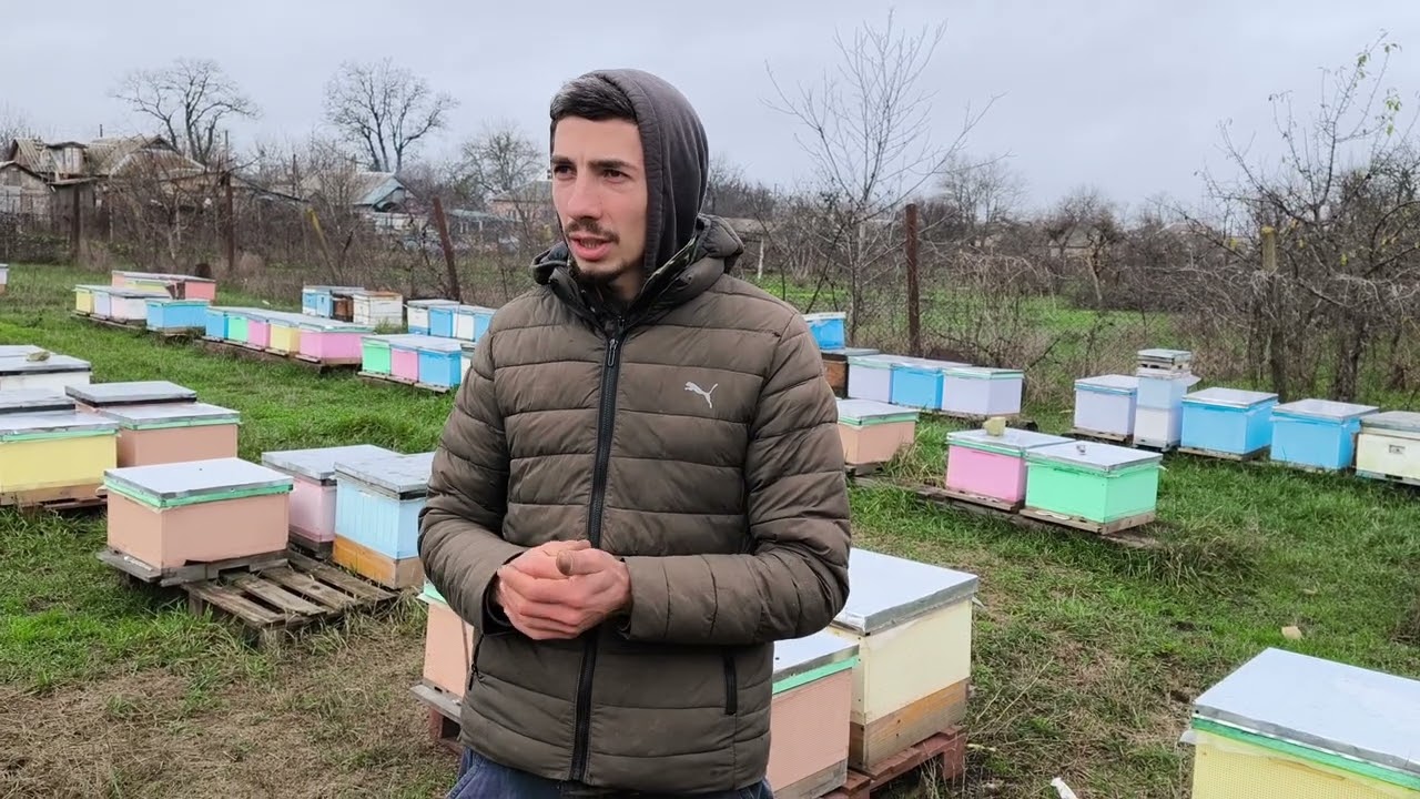 Улей ППС, как ходят спустя 4-5 лет. Бюджетный вариант для пасеки! 🐝🐝🐝💲