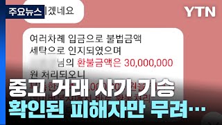 조직적 중고 거래 사기 '사이트 피싱'...피해규모와 대책은? / YTN