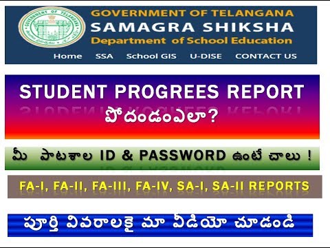HOW TO PRINT STUDENT PROGRESS CARD TS
