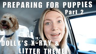 PREPARING FOR PUPPIES PART 2 | HOW MANY PUPPIES IS SHE HAVING & LITTER THEME REVEAL
