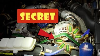 Fix ANY Belt Squeak Fast and Easy! Don't buy a New Serpentine Belt