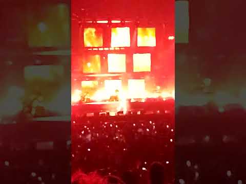 GiMS BELLA CLiP OFFiCiEL 