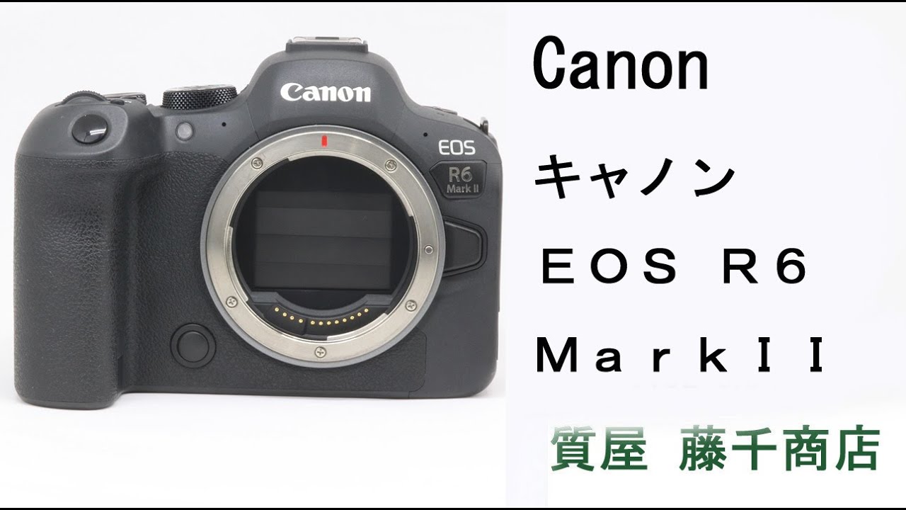 Canon キャノン EOS R6 Mark II デジタル ミラーレス 一眼 カメラ