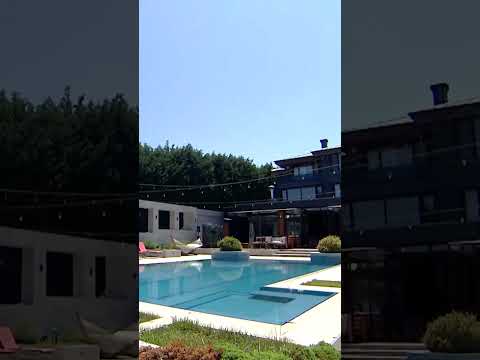 هل توافقون لؤي الرأي بأن تامر غير صادق بمشاعره Qesma W Naseeb Shorts 