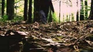 Horrifying Rapture video! Don't be left behind!
