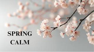 Cherry Blossom Ambience 🌸 Soft Sakura &amp; Calm Spring Aesthetic | Relaxing Background