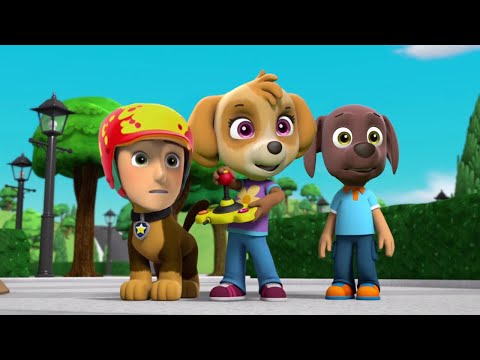 paw-patrol-face-swap-❤️π-paws…