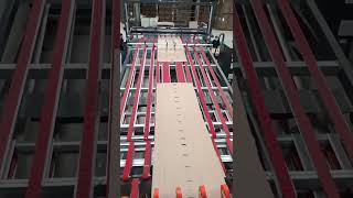 RDC Bottom Printer+Vibrator+Counter Stacker #flexoprinter #machine #cartonboxmachine#rdc