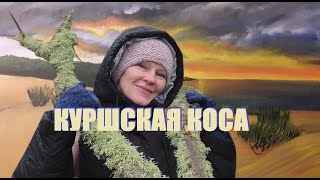 видео: На Куршской косе ураган рождается на глазах.Контроль эмоций на море в крайние зимние дни.Калининград картинка: На Куршской косе ураган рождается на глазах.Контроль эмоций на море в крайние зимние дни.Калининград