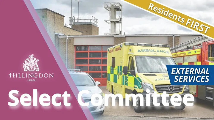 External Services Select Committee - 6.30pm, 22 March 2022