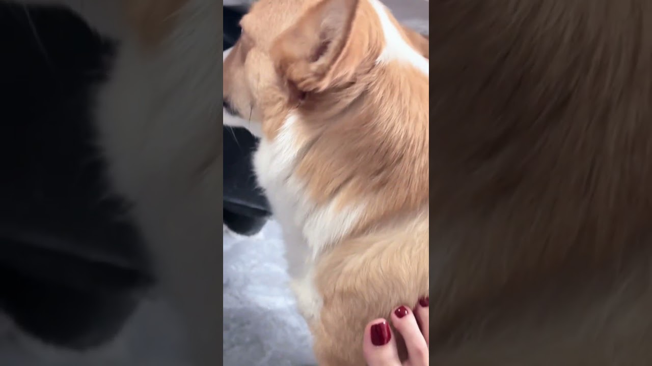 Red Is Eternal 🔥 Stunning Feet but Even Toes Need Rest!  