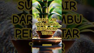 Suara air dari bambu