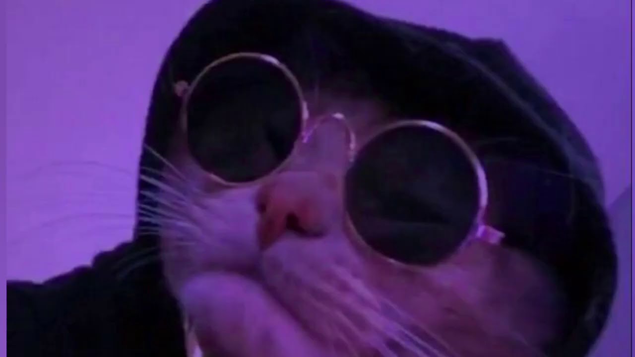 🧸 Kamelia - 𝙰𝚖𝚘𝚛  ✨   (𝓢𝓵𝓸𝔀𝓮𝓭💜)