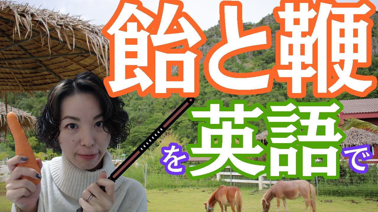 元はドイツ語 飴と鞭を英語で 英語発音チューニング体操 Day559 Youtube