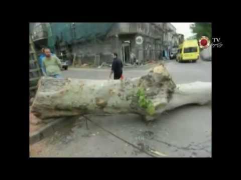 1 82 ვორონცოვი