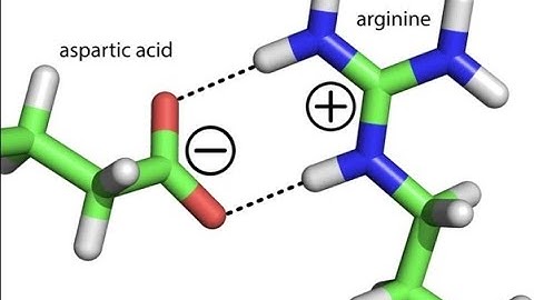 Salt bridge analysis of a trajectory using  VMD