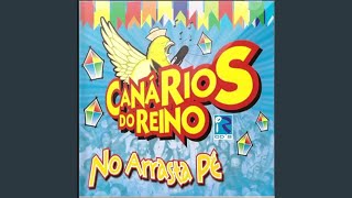 Video thumbnail of "Canários do Reino - Fogo Sem Fuzil / Riacho do Navio / Forró No Escuro"