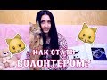 Как стать волонтером и помогать животным? The Alice Twins #34