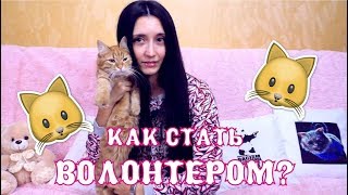 Как стать волонтером и помогать животным? The Alice Twins #34