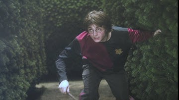 The Third Task - Harry Potter and the Goblet of Fire HD