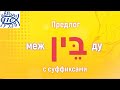 Предлог בין МЕЖДУ с суффиксами