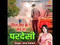 Dil Tod Ke Mat Ja Pardesi Mp3 Song