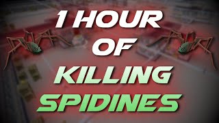 Slaying Spidines | Testing OSRS Wiki Money Making Methods