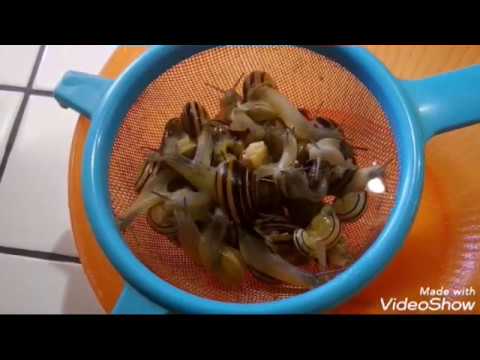 Video: Come Cucinare Una Lumaca D'uva?