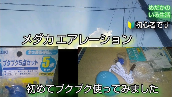 メダカ 寝る 夜の様子 23時30分 エアレーションは ライト 水流は 次の日の朝の様子 ダイソー100均 発泡板で見やすくしました Youtube メダカ 寝る 夜の様子 23時30分 エアレーションは ライト 水流は 次の日の朝の様子 ダイソー100均 発泡板で見やすくしました Youtube