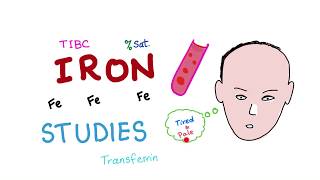 Iron Studies (Part 2: Serum Fe, TIBC, ferritin& %Sat.)