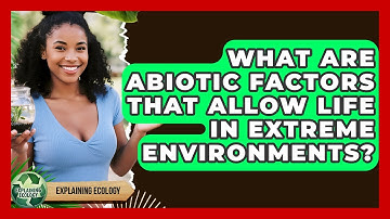 What Are Abiotic Factors That Allow Life In Extreme Environments? - Explaining Ecology