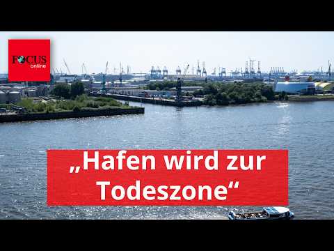 "Port becomes a death zone": The Elbe is running out of air