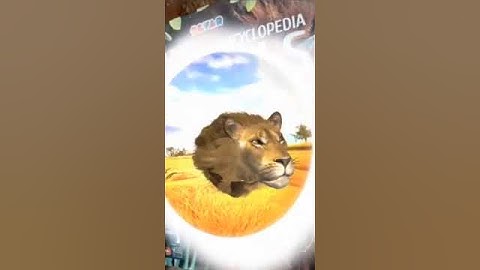AR Book Cover: Lion @MyWebAR